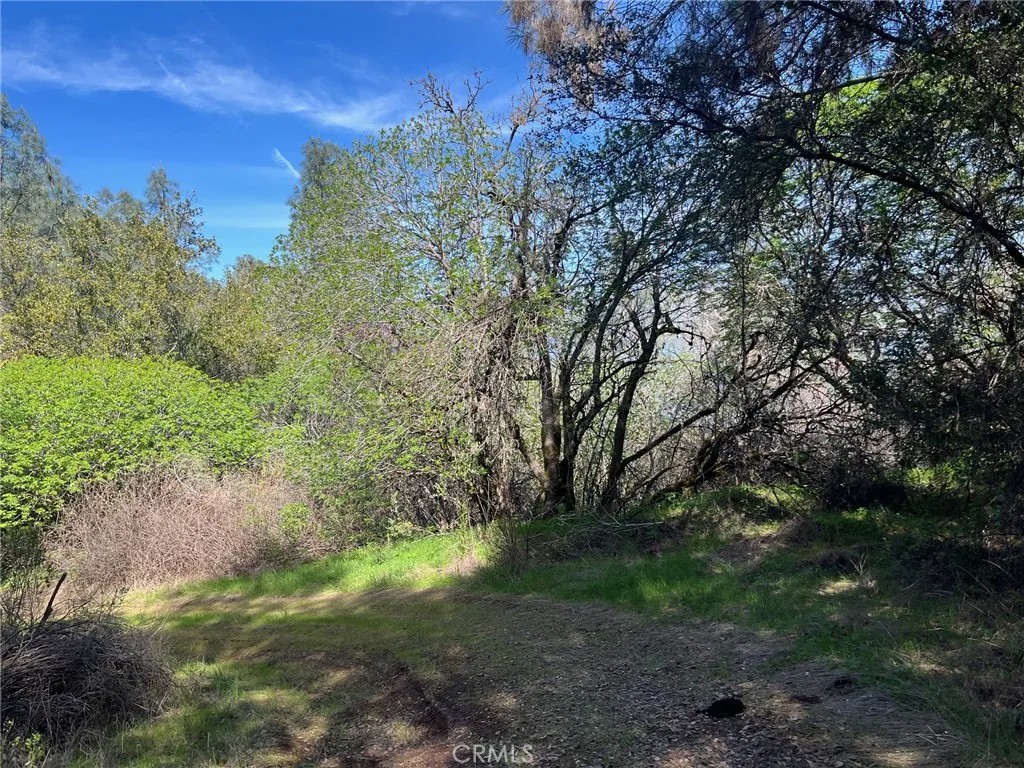 6189 Soda Bay