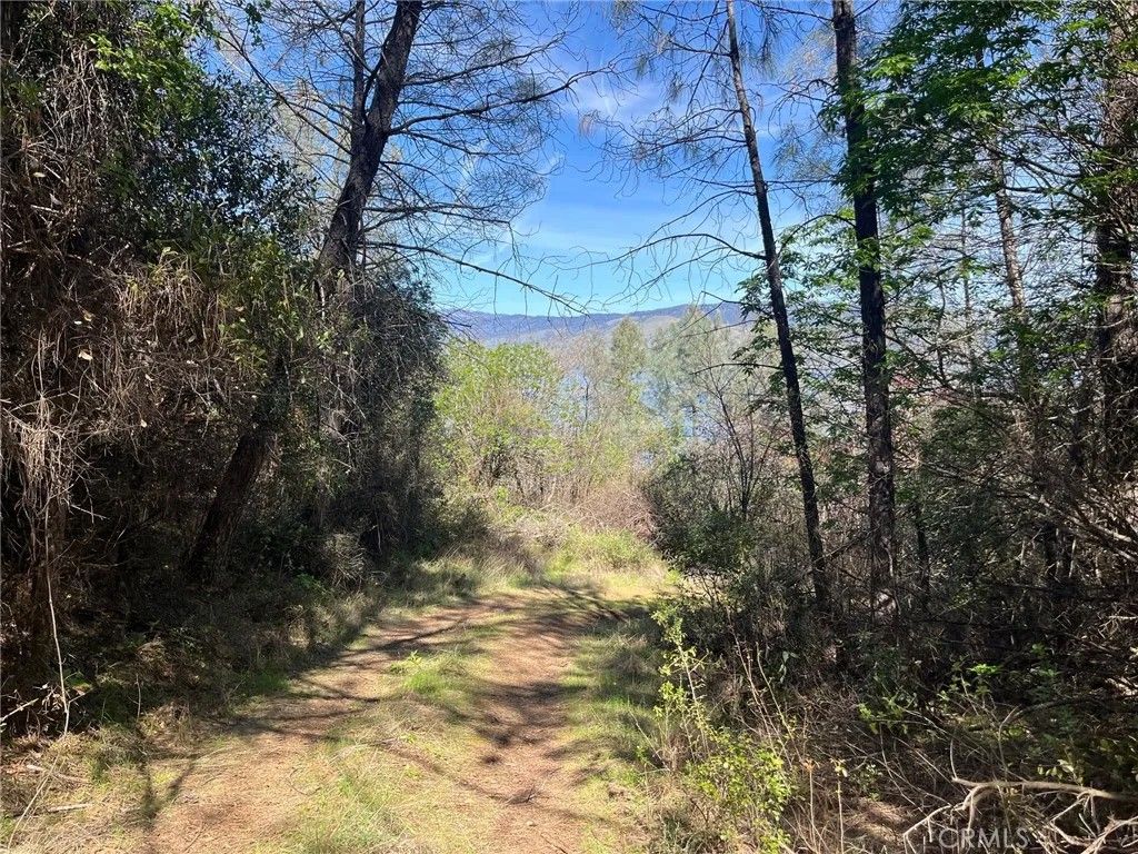 Photo of 6189 Soda Bay Rd, Kelseyville, CA 95451 (MLS # LC26059086)