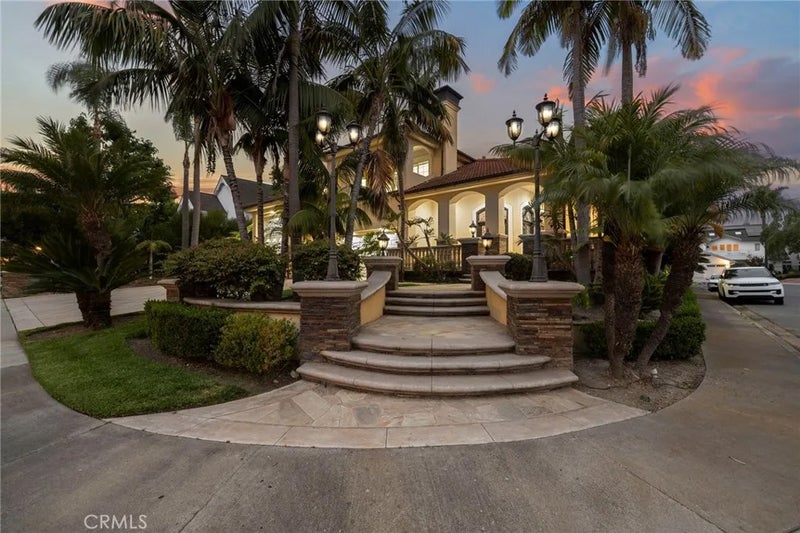33741 Shamrock