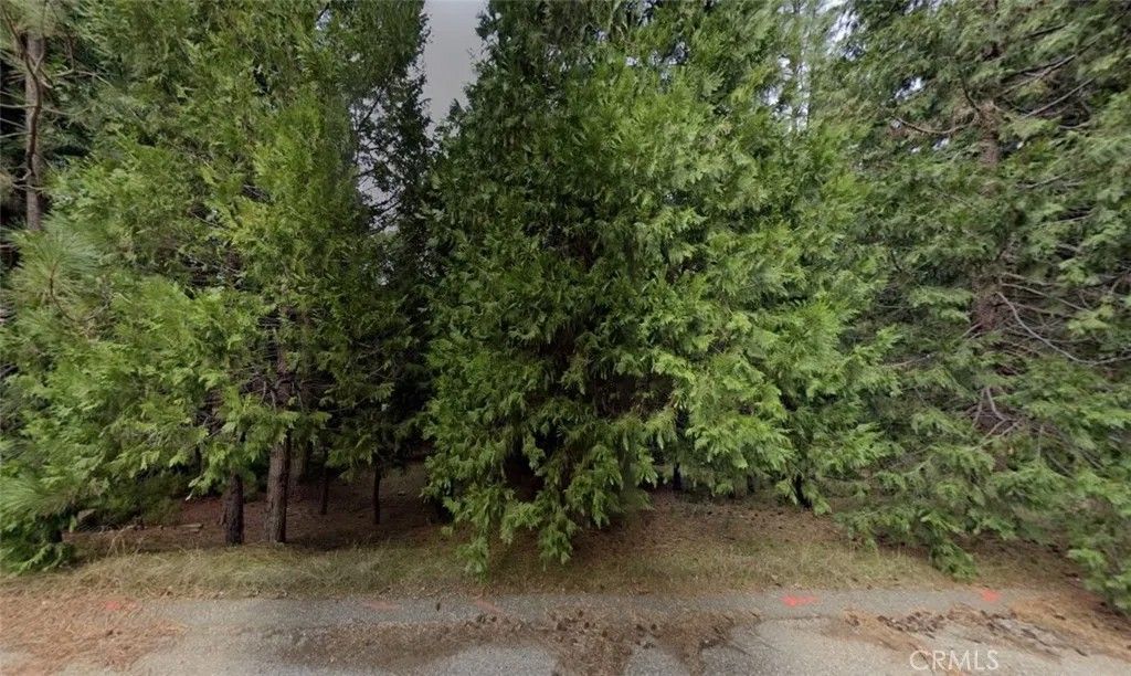 Photo of 26581 Golf Links Dr, Pioneer, CA 95666 (MLS # AR26071053)