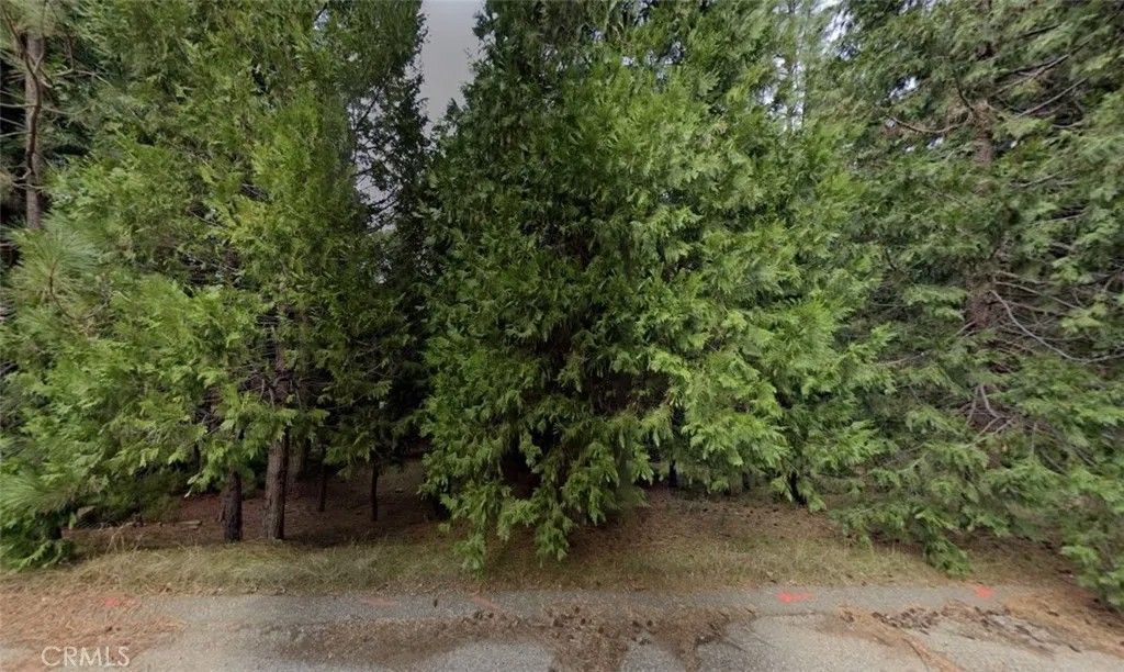 Photo of 26581 Golf Links Dr, Pioneer, CA 95666 (MLS # AR26071053)