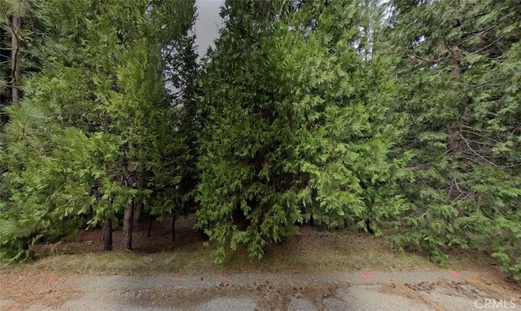 Photo of 26581 Golf Links Dr, Pioneer, CA 95666 (MLS # AR26071053)