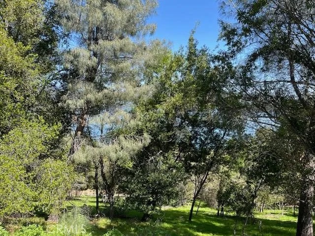 8444 Soda Bay