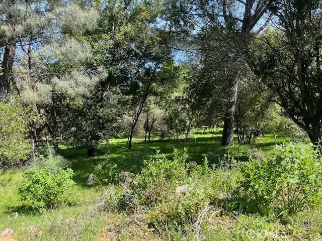 8444 Soda Bay