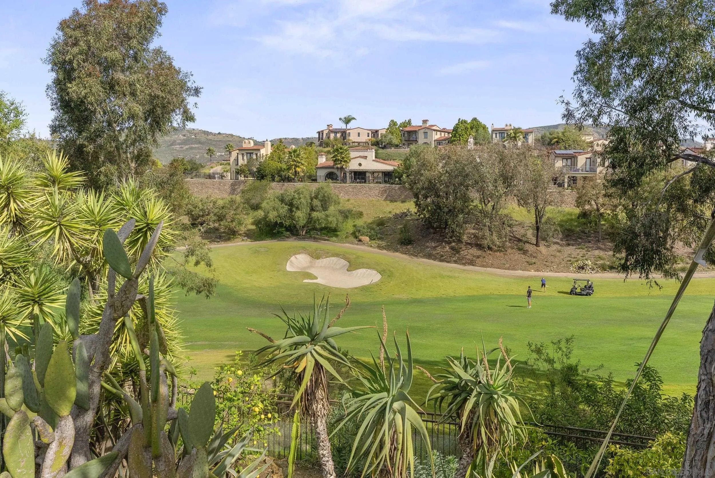 7748 Road To Zanzibar