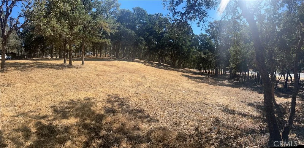 6060 Old Highway 53