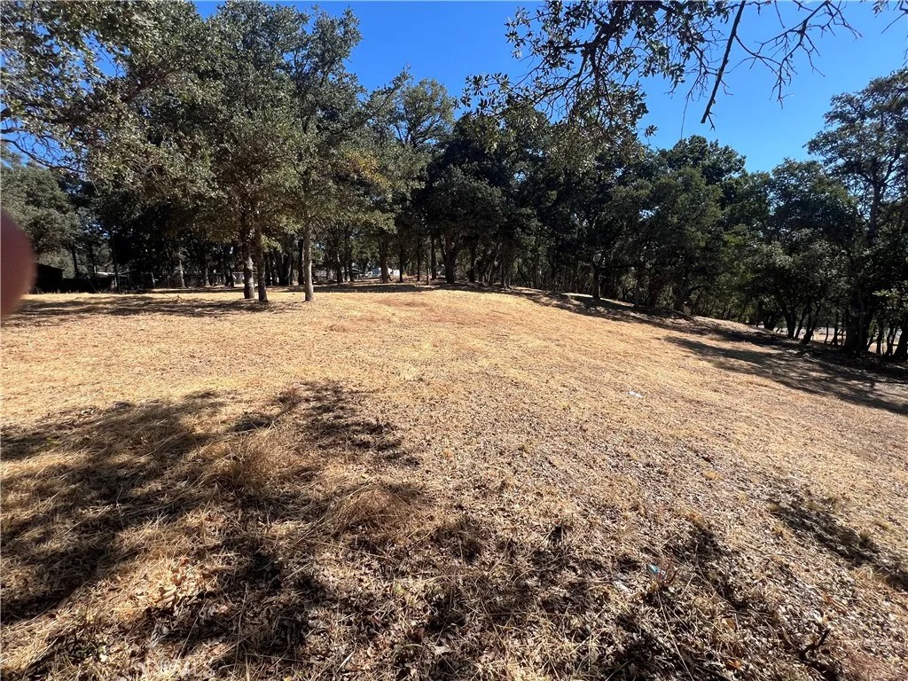 6060 Old Highway 53