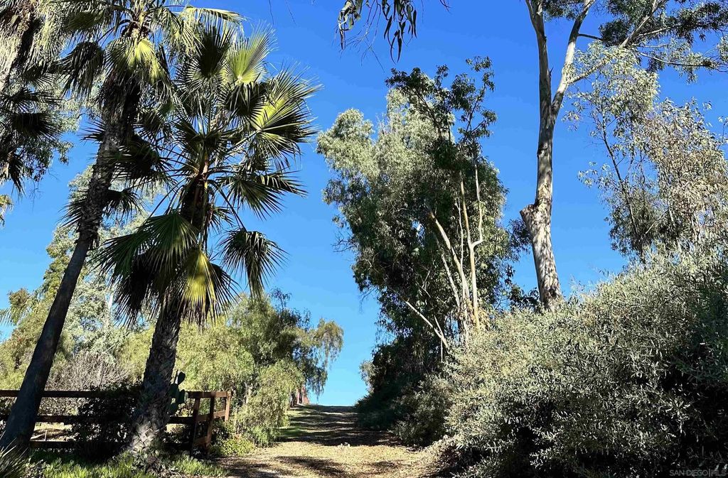 Photo of 18096 Loma Alegre, Rancho Santa Fe, CA 92067 (MLS # 260008892)