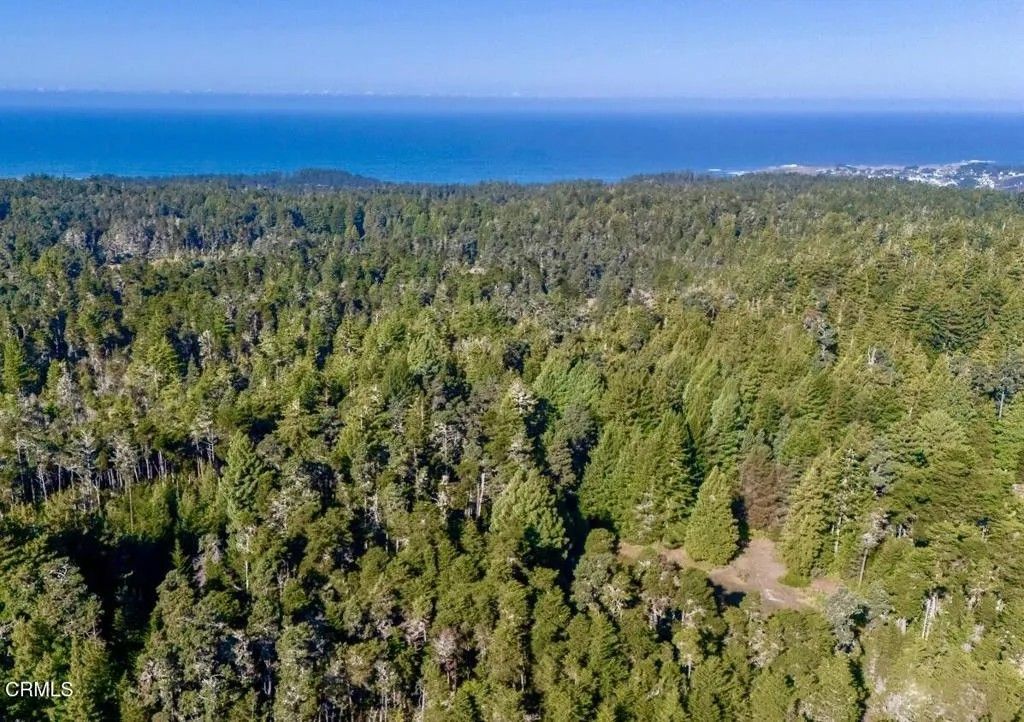 Photo of 43535 Comptche Ukiah Rd, Mendocino, CA 95460 (MLS # C1-11219)