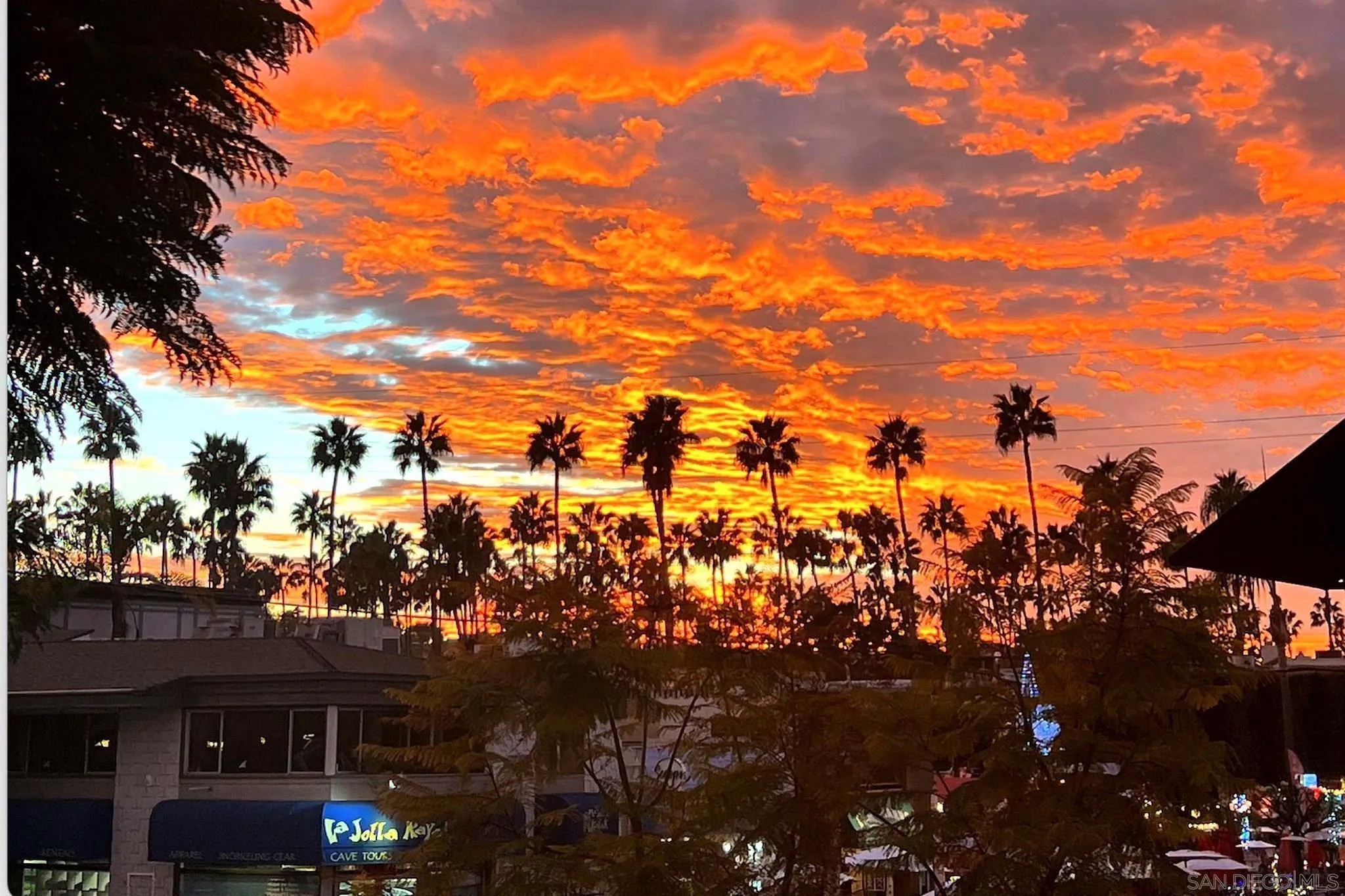 2210 Avenida De La Playa