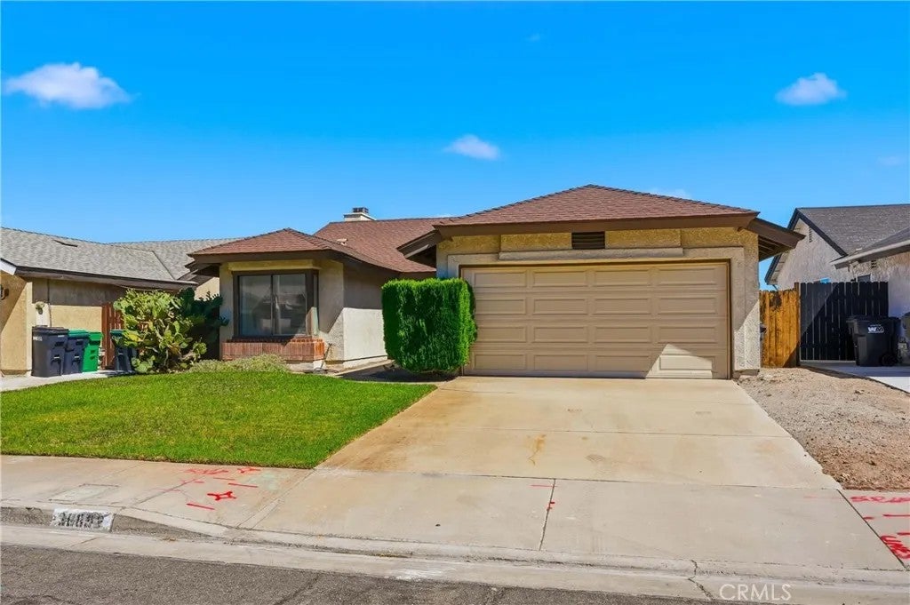 36892 Spanish Broom