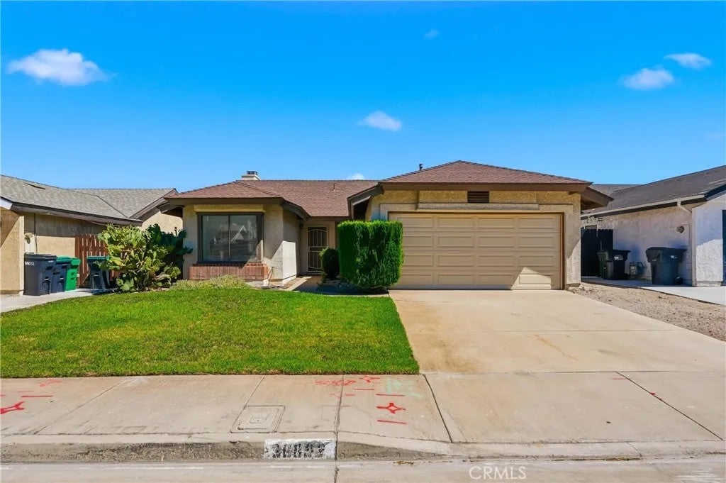 36892 Spanish Broom