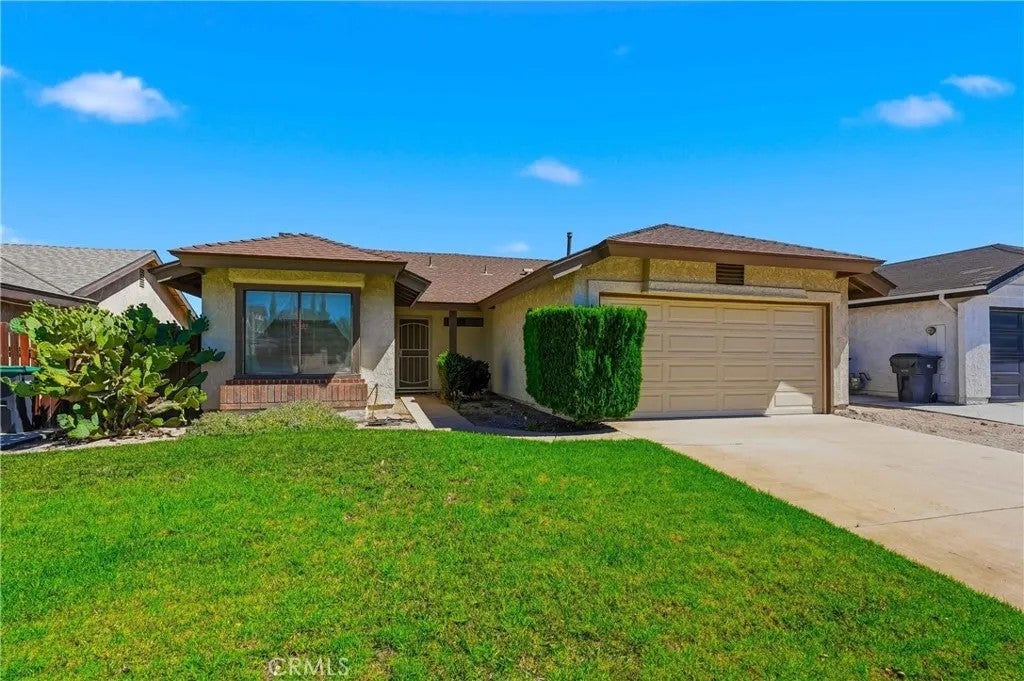 36892 Spanish Broom