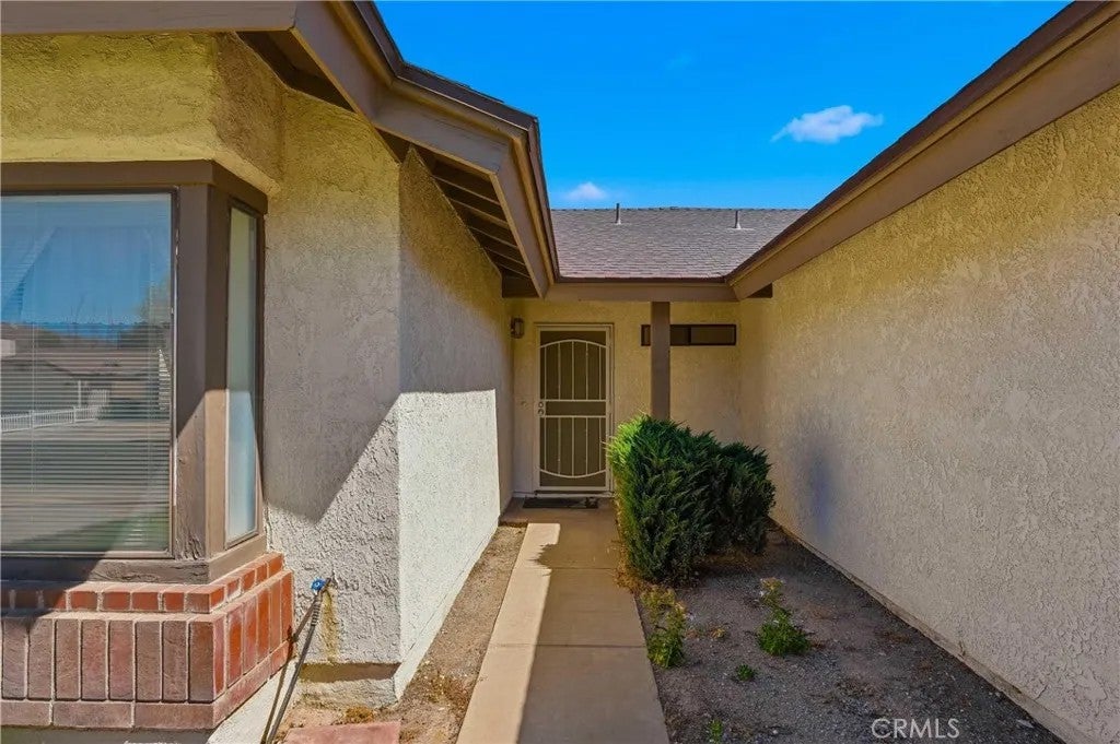 36892 Spanish Broom
