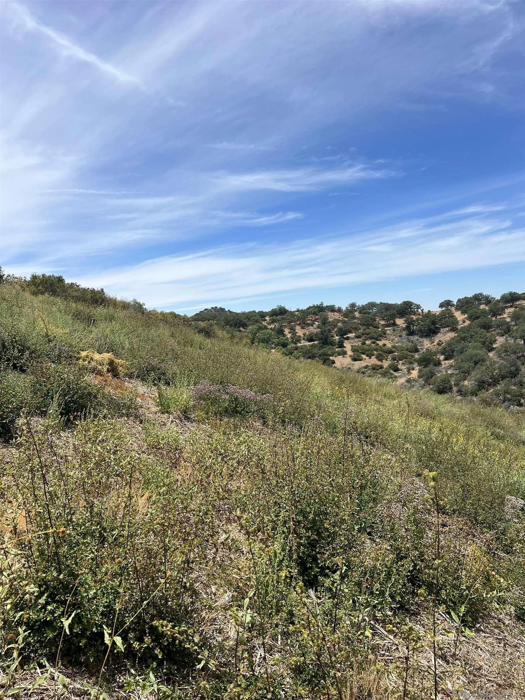3885 Eagle Ridge 3885
