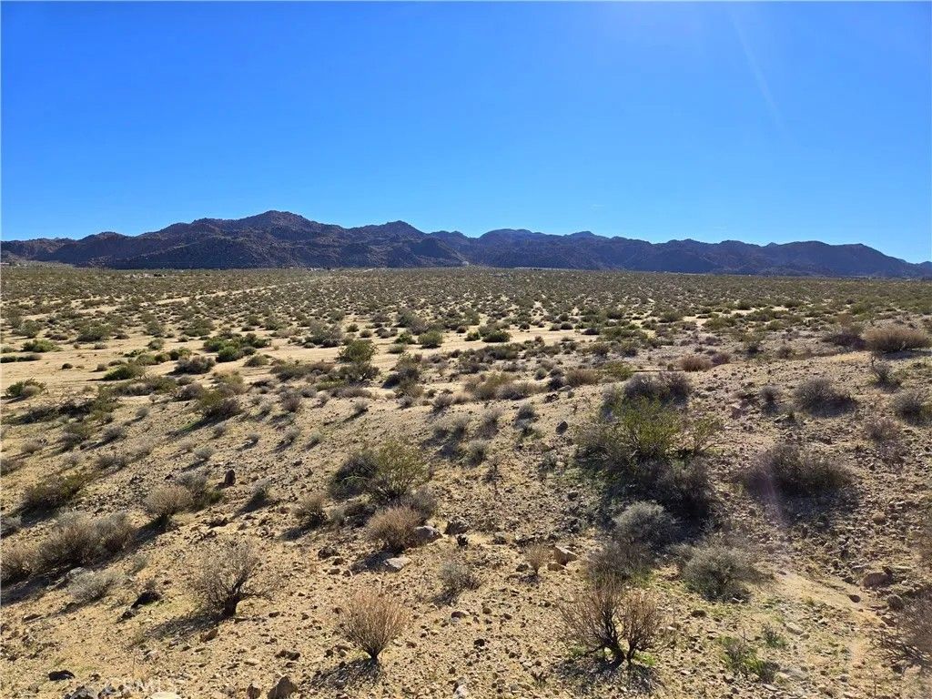 Photo of 6200 Lee Dr, Joshua Tree, CA 92277 (MLS # JT26020126)