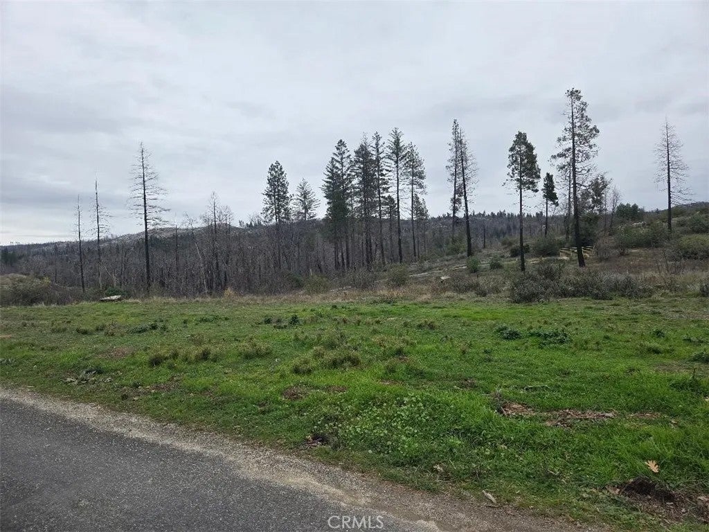 Photo of 259 Rockerfeller Rd, Berry Creek, CA 95916 (MLS # OR26000133)