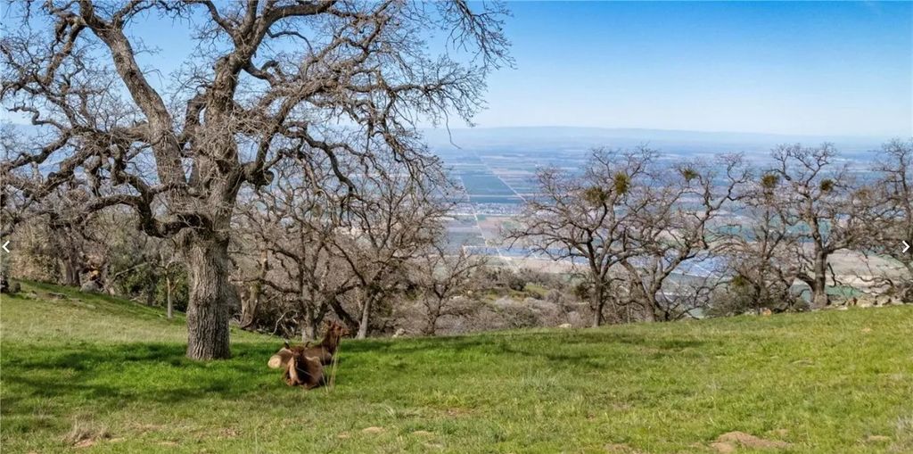 Photo of 26300 Hazelwood Ct, Tehachapi, CA 93561 (MLS # SR26026367)