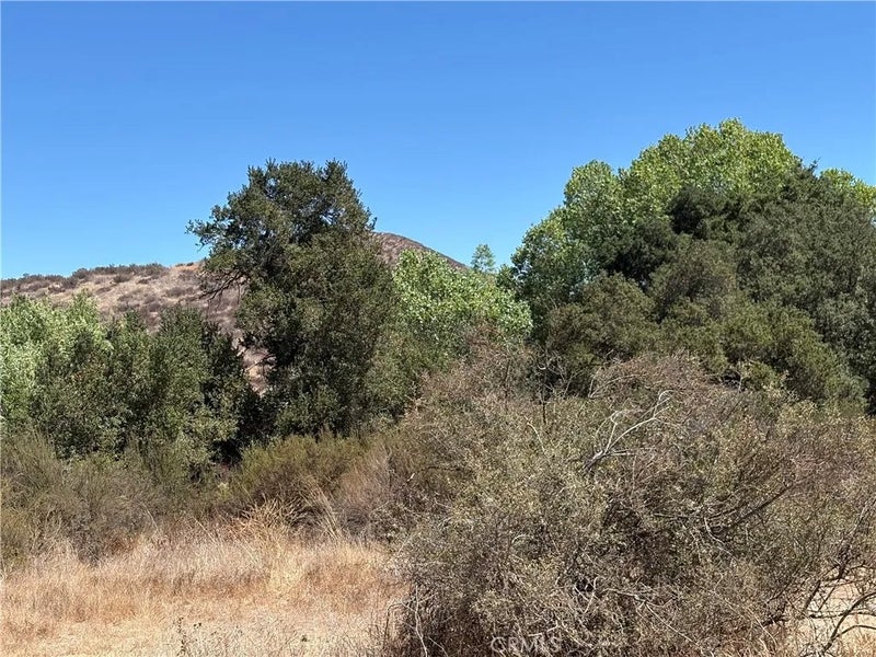 0 Cottonwood Canyon