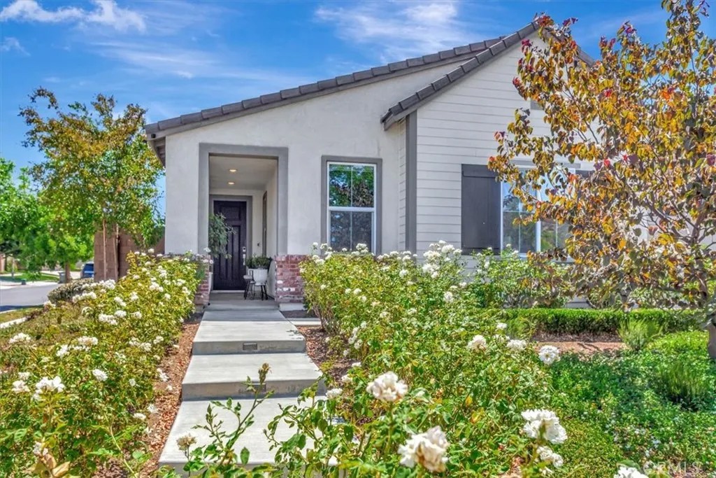 31058 Altai Lane