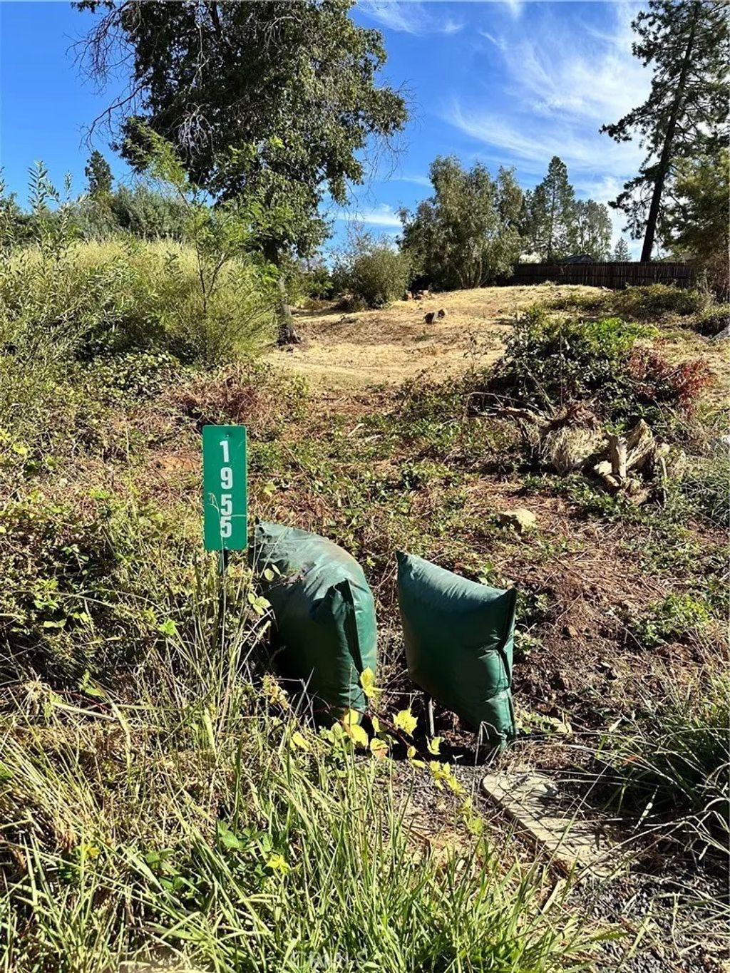 Photo of 1955 Golf Rd, Paradise, CA 95969 (MLS # PA25201178)