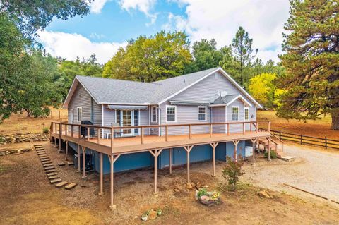 Photo of 4074 La Tenaja Trail, Julian, CA 92036 (MLS # 250042116)