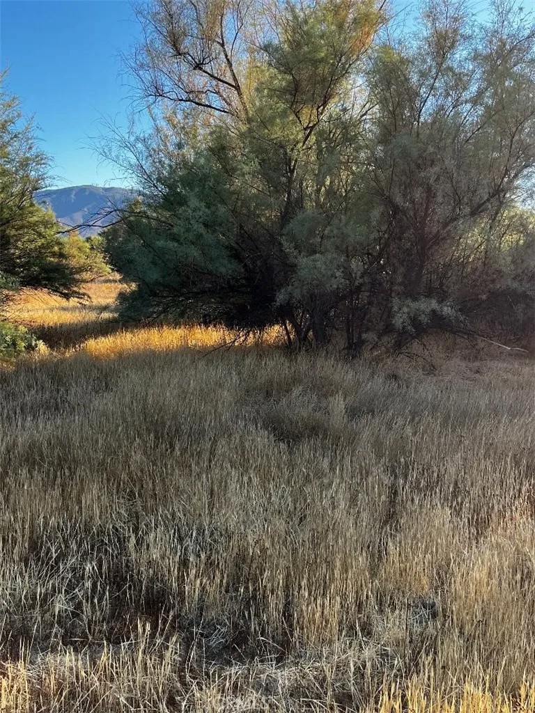 0 Fremont