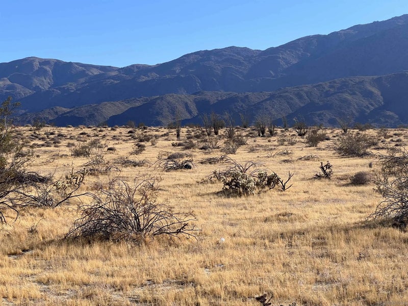 Borrego Springs 313