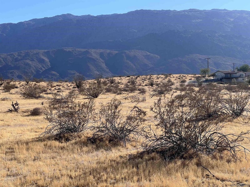 Borrego Springs 313