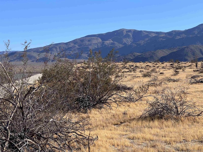 Borrego Springs 313