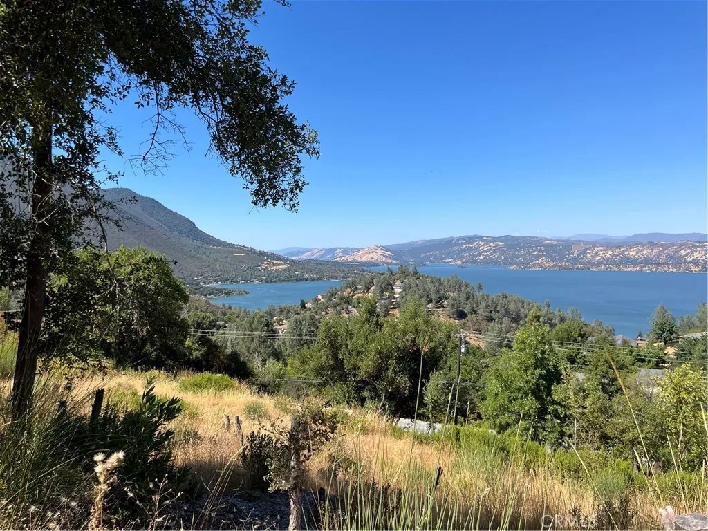 10009 Point Lakeview
