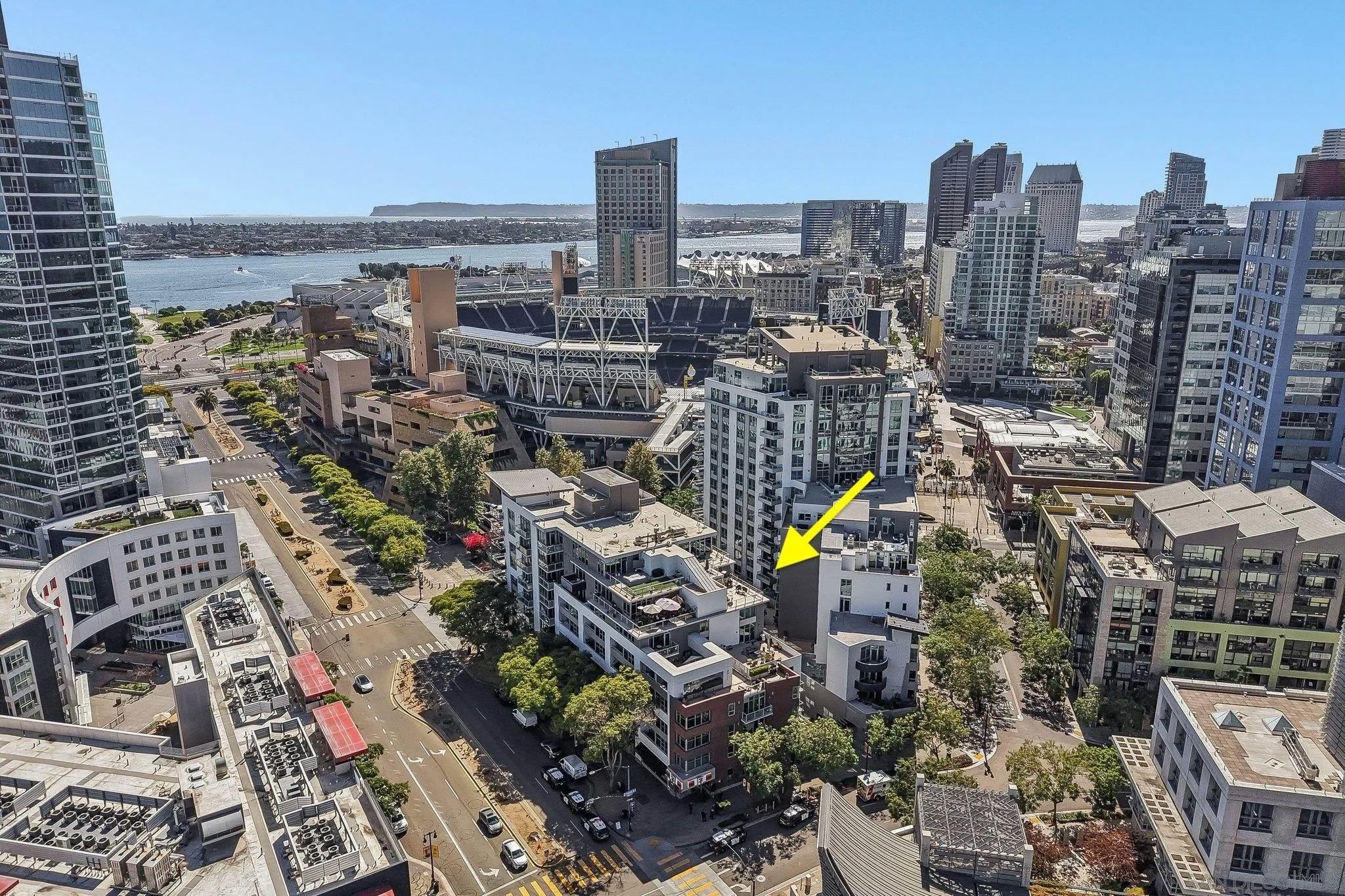 206 Park Blvd 313