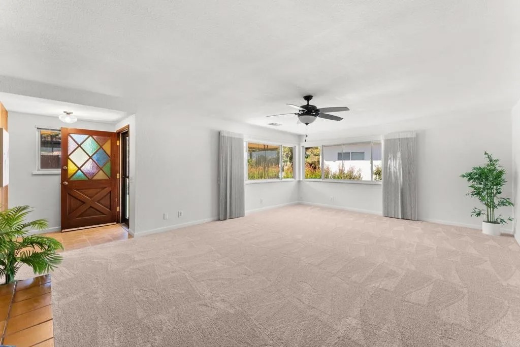 635 Pine Tree Lane