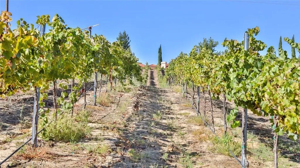 Photo of 0 Valle Toscana Ct, Temecula, CA 92592 (MLS # ND26063050)