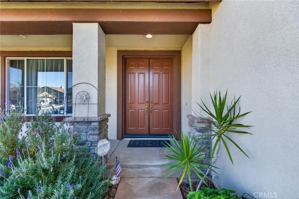 25887 Balsam Fir
