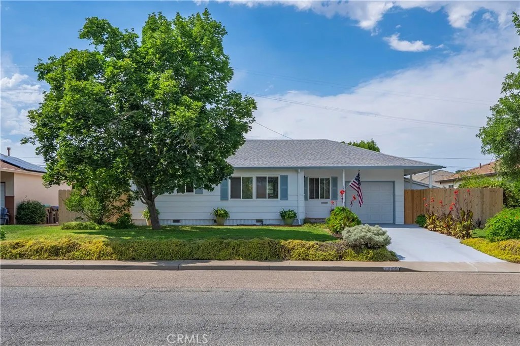 1450 Walnut