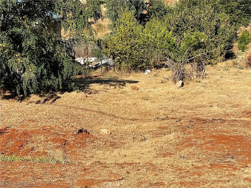 5595 Sierra Park