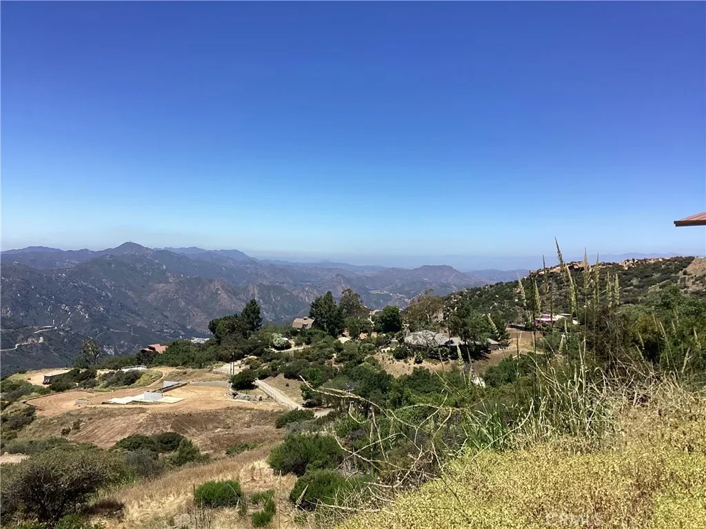 24725 Saddle Peak