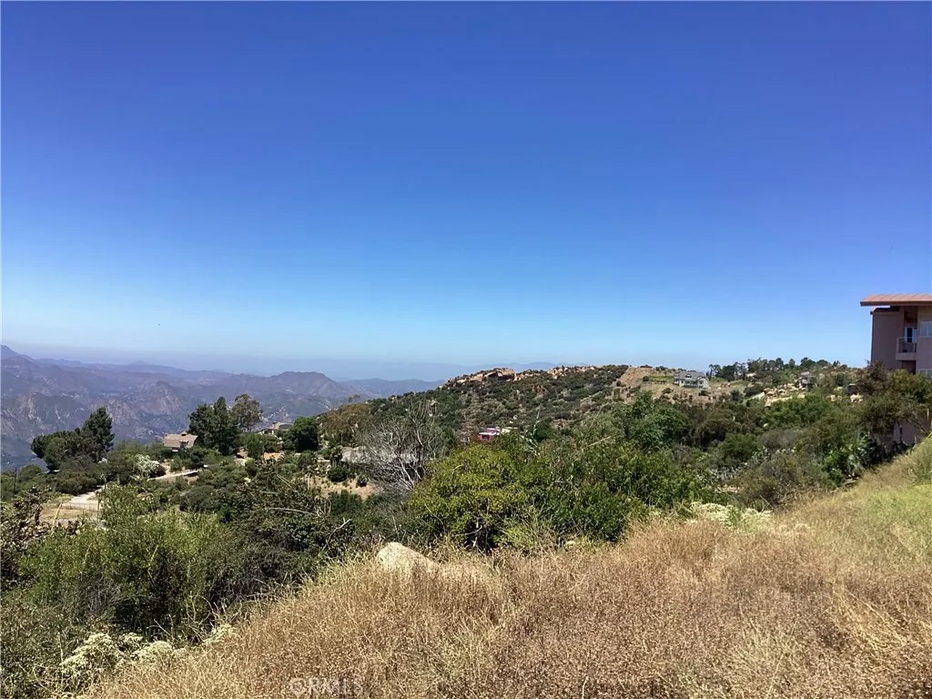 24725 Saddle Peak