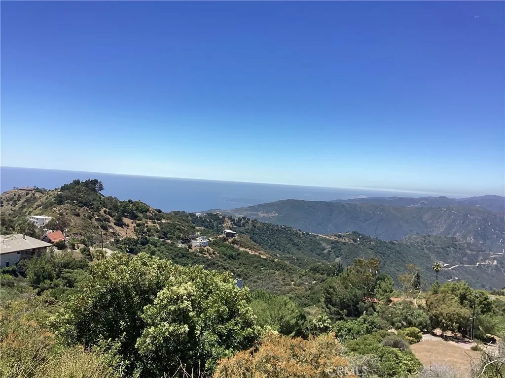24725 Saddle Peak
