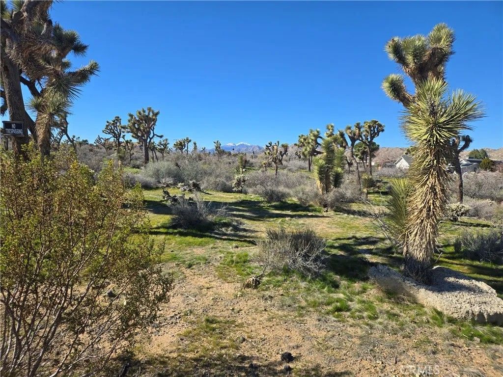 Photo of 7484 Palm, Yucca Valley, CA 92284 (MLS # JT26006041)
