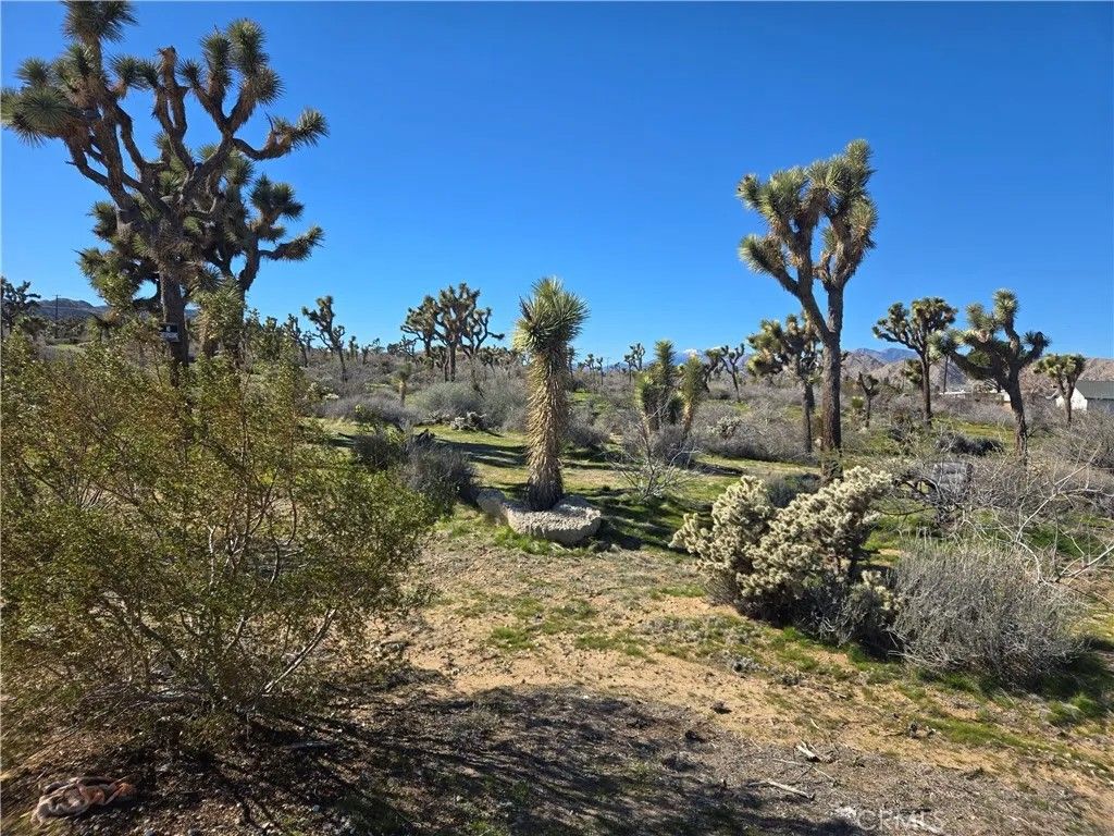 Photo of 7484 Palm, Yucca Valley, CA 92284 (MLS # JT26006041)