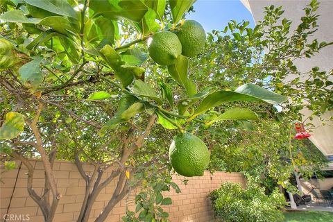 Tiny photo for 3027 Spyglass Ct, Chino Hills, CA 91709 (MLS # TR25238745)