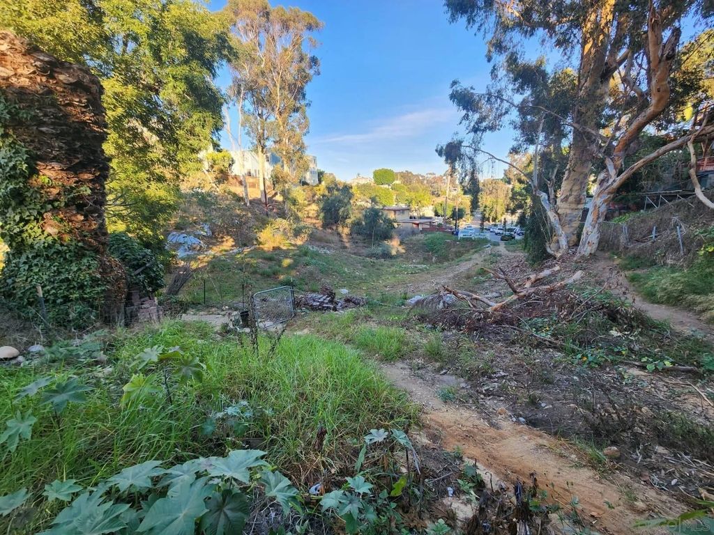 Photo of 0 Bush St, San Diego, CA 92103 (MLS # 260001606)