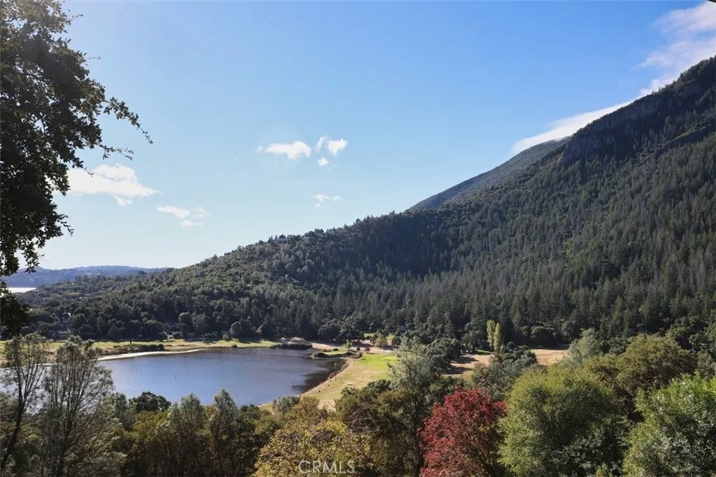 Photo of 8250 Little Borax Lake, Kelseyville, CA 95451 (MLS # LC26230561)