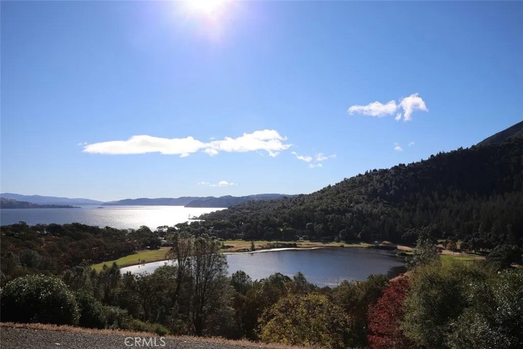 Photo of 8250 Little Borax Lake, Kelseyville, CA 95451 (MLS # LC26230561)