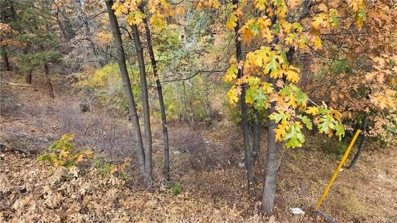 1000 Butte