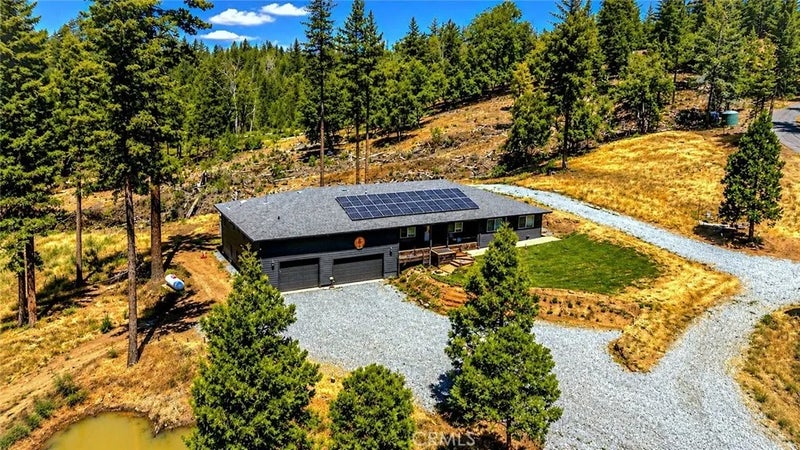 5999 Sugar Pine