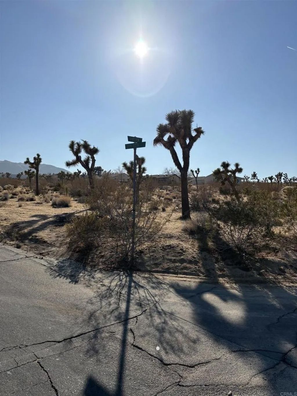 Photo of 0 Division, Joshua Tree, CA 92252 (MLS # PTP2602474)