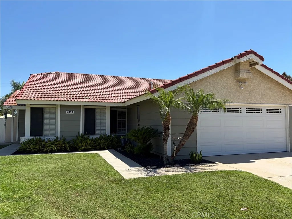 7353 Lemonwood